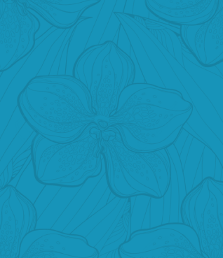 header-flower-bg.38.641c1daac7716